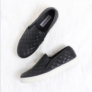 STEVE MADDEN Ecentrcq Sneaker in Black